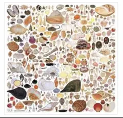 Item thumbnail for item 58a90865-2b4a-4969-a984-439e782579c7