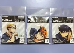 ハイキュー!! 烏野高校 勝利への闘志 缶バッジセット