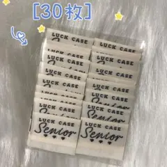 349 Senior高級な　刺繍タグ　挟みタグ＊30枚　ピスネーム　ハンドメイド