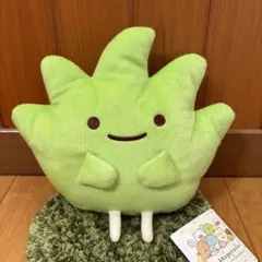 すみっコぐらし おおきなころっとぬいぐるみBIG [ざっそう] ラウンドワン限定