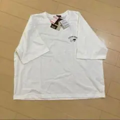 Item thumbnail for item ab70093b-aa29-49eb-8a23-0d779eefe5f2