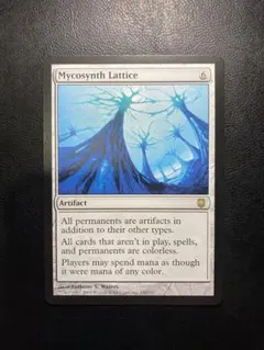 2025年最新】マイコシンスの格子の人気アイテム - メルカリ