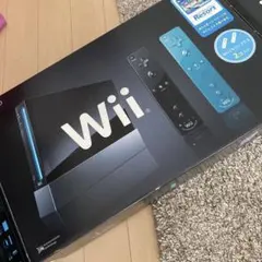 Wii本体・Wiiリモコン2本・Wii Sports Resort