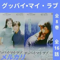 【グッバイ•マイ・ラブ】韓国ドラマ　韓流ドラマ　華流ドラマ　中国ドラマ
