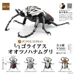 2026年最新】ゴライアスの人気アイテム - メルカリ