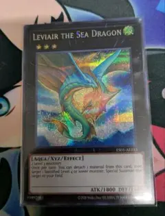 虚空海竜リヴァイエール　泰亜シークレット