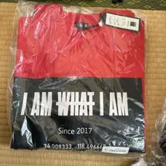 Item thumbnail for item 78bd7c1d-1457-4dde-8644-12756bfaedf9