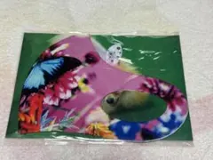 Item thumbnail for item b6ee2896-71fb-4468-b281-199e72031d6f