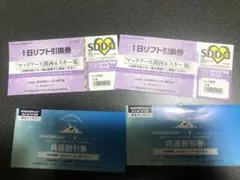 マックアース関西6スキー場の1日リフト引換券×2枚のサムネイル