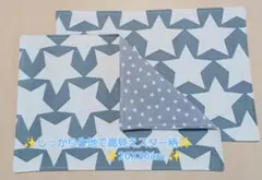 新品ランチョンマット2枚セット《No. SB21》