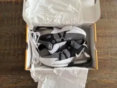 NIKE LEBRON WITNESS Ⅶ EP ナイキ 25.5cmのサムネイル