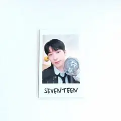 ウォヌ インスタントフォト チェキ HOLIDAY トレカ SEVENTEEN