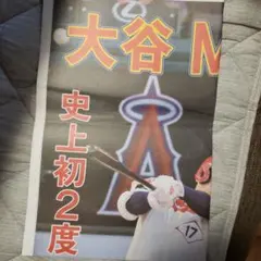 Item thumbnail for item 7161701f-ad8a-4334-ab6f-af29c64e8308