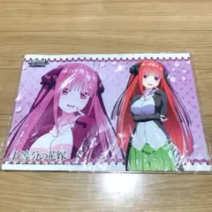 もっこりちゃん様 リクエスト 2点 まとめ商品