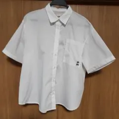 Item thumbnail for item bb5deb0b-c651-4a81-bb62-aa68e50a6456