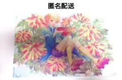 フルーツバスケット フルバ 紅葉 楽羅 クリアファイル ED