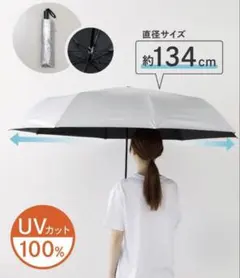 3coins 晴雨兼用 傘 BIG UVカット100% 折りたたみ　日傘のサムネイル