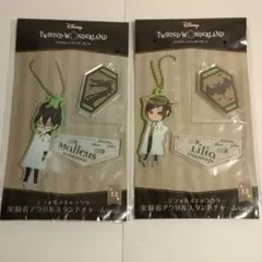 ツイステ デフォルメキャラクター実験着アクリルスタンドチャーム マレウス リリア