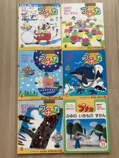 学研☆プチカ　たのしい　しぜん　実験シリーズ　6冊セット♪
