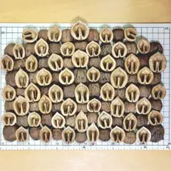 Item thumbnail for item 2c791b65-aa14-4a04-b365-8ff778f97683