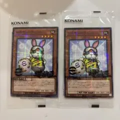 レスキューラビット プロモ　2枚セット