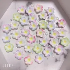 ネイルパーツ⭐︎nail プルメリア　お花