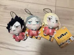 ハイキュー ちょぴぬいぷち2