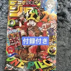 週刊少年ジャンプ 2024年33号 ONE PIECE付録付き - メルカリ