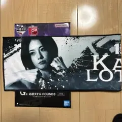 Item thumbnail for item b3693e83-d86a-4ad1-b854-ad8ada4ecaa6