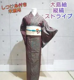 1808.大島紬 粋なお柄 縦縞 ストライプ 袷 正絹 着物