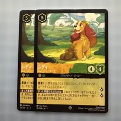 【ロルカナ】レディ(ミスニューヨーク)2枚セット