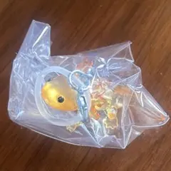 ウーパールーパー アピるチャーム