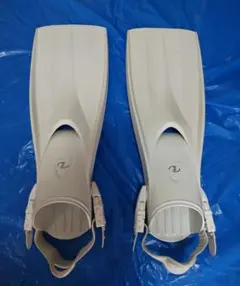 Item thumbnail for item ee271dec-72ae-4819-baea-31324e18b595