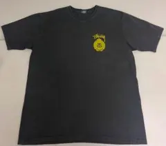 stussy 半袖tシャツ