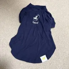 Item thumbnail for item 652bfdd3-4e94-4609-8794-ddfa3632d198