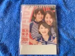 Item thumbnail for item e6c6259b-7056-46f8-889d-de0b6c6ef9a2