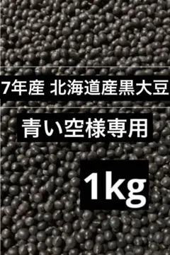 青い空様専用