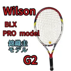 Item thumbnail for item 055ea5a1-1e27-409b-b039-af6edef71f6e