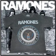 【希少】ラメ入り RAMONES ラモーンズ バンドTシャツ M/L 黒