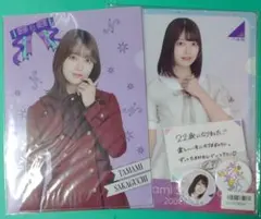 阪口珠美 乃木坂46 12thバスラクリアファイル 生誕クリアファイル＋缶バッジ