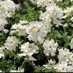 banana様 リクエスト 2点 まとめ商品