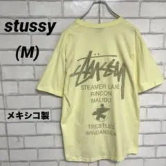 メキシコ製　stussy ステューシー バックプリントTシャツ デカロゴ　黄色