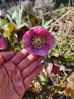 m_hm様 リクエスト 4点 まとめ商品