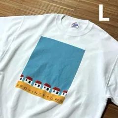 80s 90s USA製 Jerzees スウェット L 白 アート