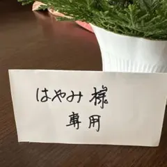 Item thumbnail for item 980de7cb-fb2a-42cf-937e-6a3f3992c554