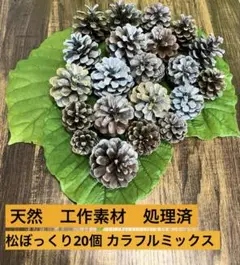 値下げ 松ぼっくり20個 処理済 ハンドメイド リース素材 天然 自然 色MIX