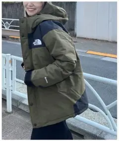 THE NORTH FACE GORE-TEX ダウンジャケット　レディース