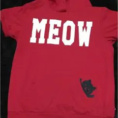 裏起毛 Tシャツ