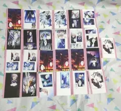 東京ディバンカー 冠氷 尋