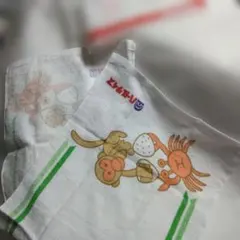 Item thumbnail for item befb5e2b-a59d-41b3-bd45-5ef11486593c